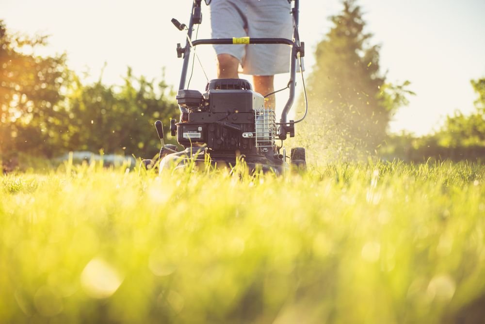 Rasenmäher im Einsatz auf gepflegtem Rasen